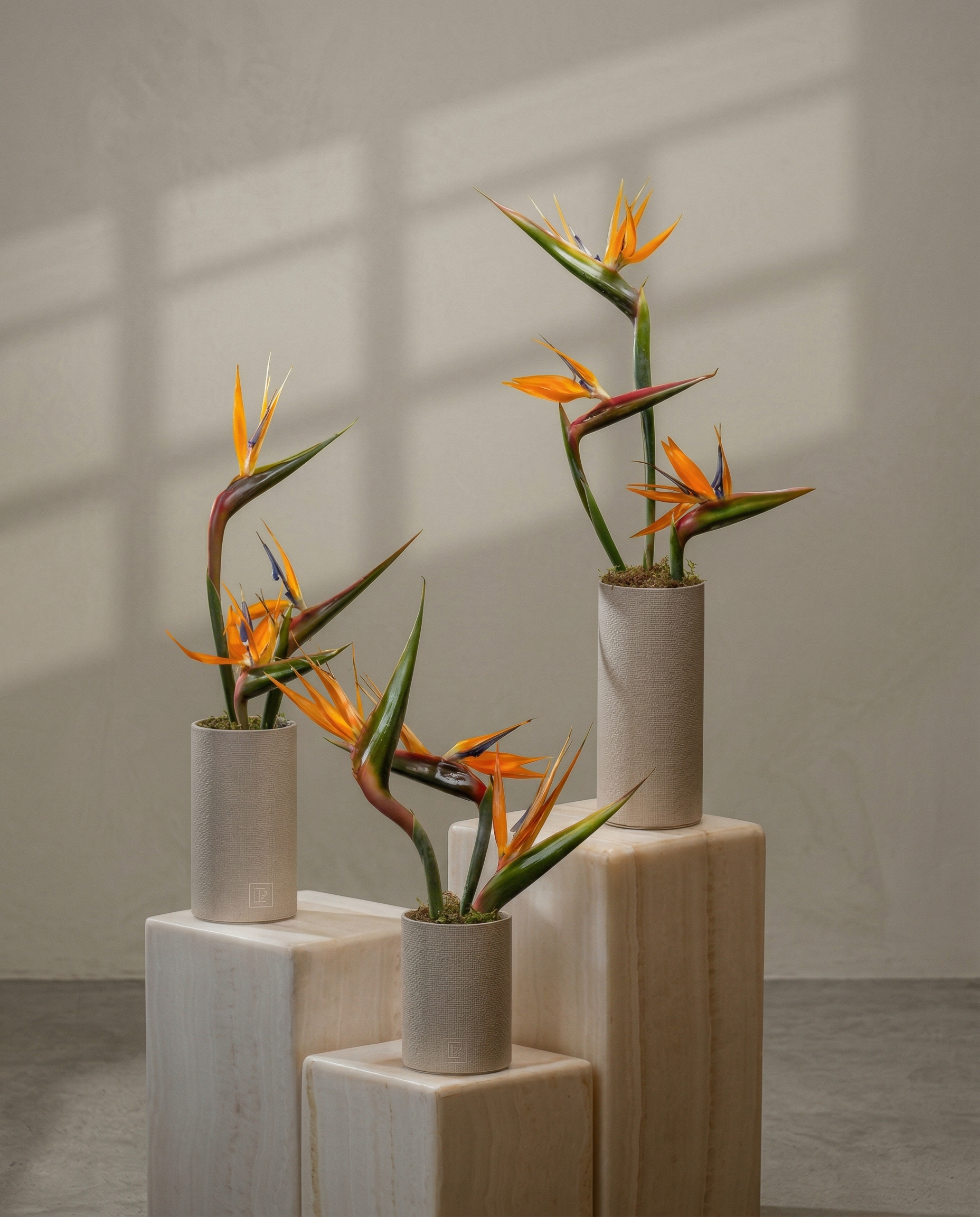 Bird of Paradise Vase Arrangement