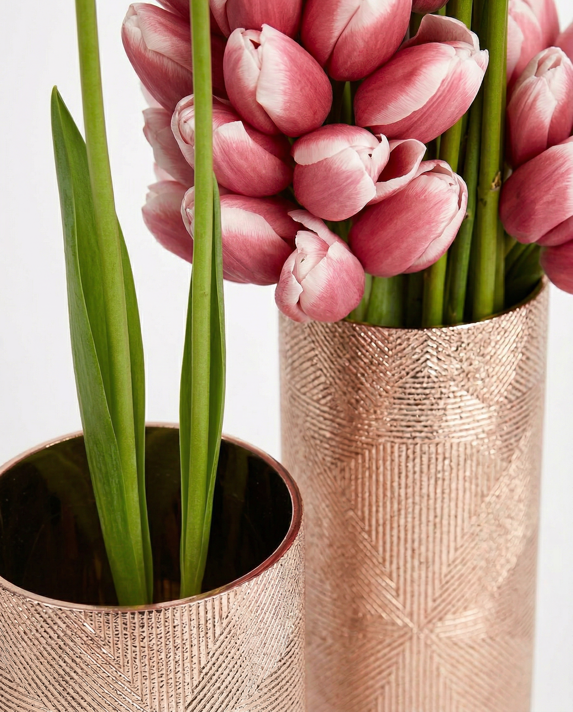 Cymbidium Vase Arrangement full arrangement